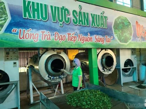 Thái Nguyên: Khoa học và Công nghệ tạo động lực cho tăng trưởng bền vững