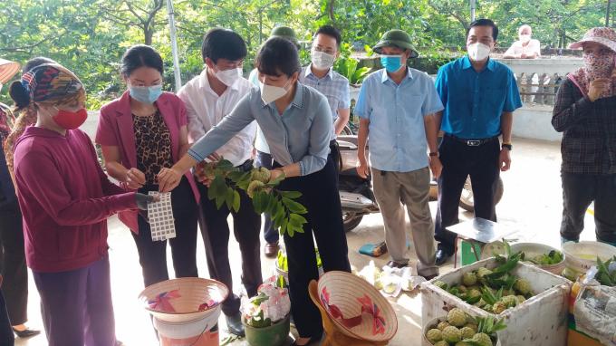 Đa dạng kênh tiêu thụ na