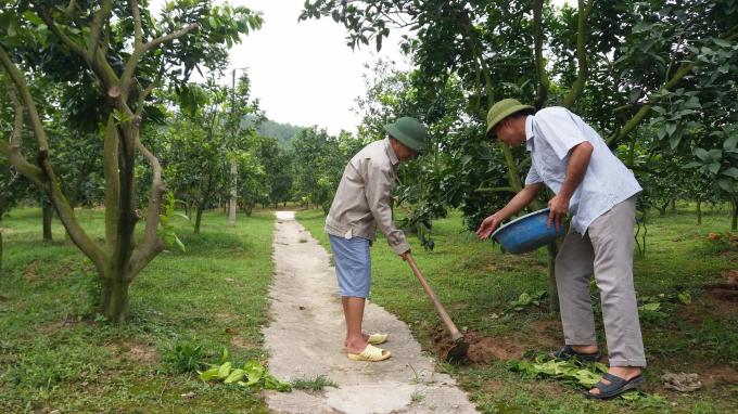 Khai mở vùng đất cỗi