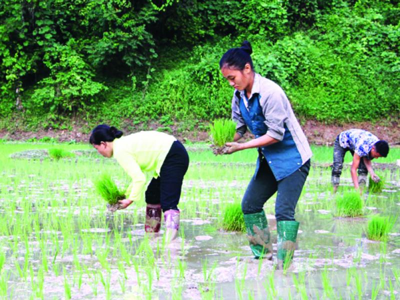 Thái Nguyên nỗ lực vì sự phát triển vùng đồng bào dân tộc thiểu số