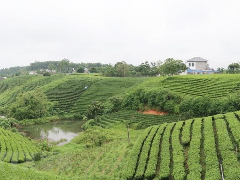 Thái Nguyên: Phát triển du lịch sinh thái, hướng đi mới của Đại Từ