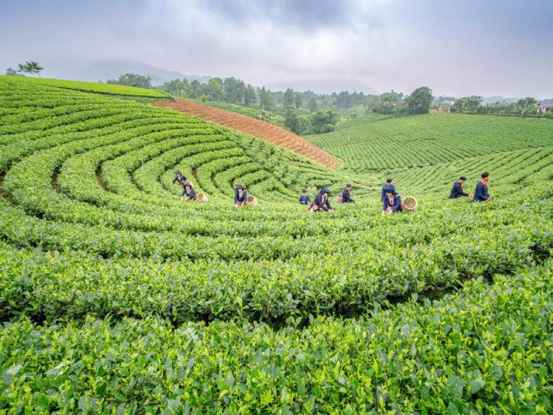 Vẻ đẹp tiềm ẩn của núi rừng và văn hóa Việt Bắc làm du khách nhớ đến Du lịch Thái Nguyên